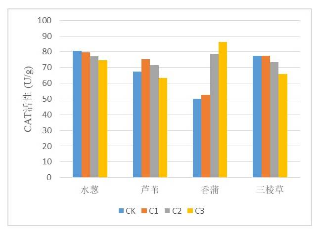 数据缩略图