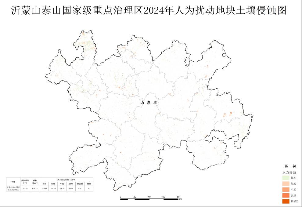 数据缩略图