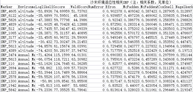 数据缩略图