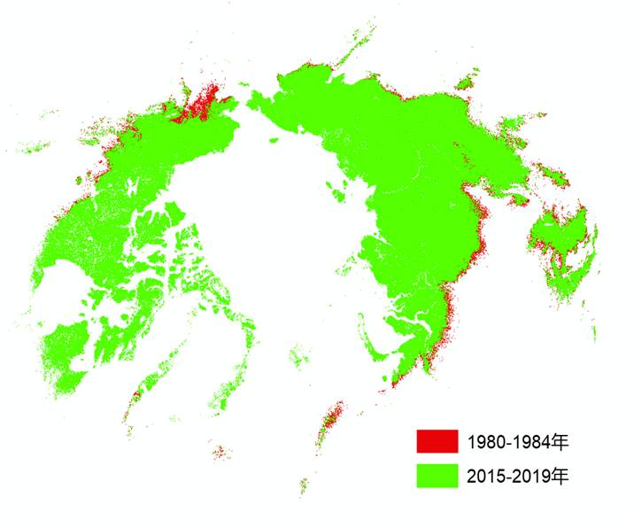 数据缩略图