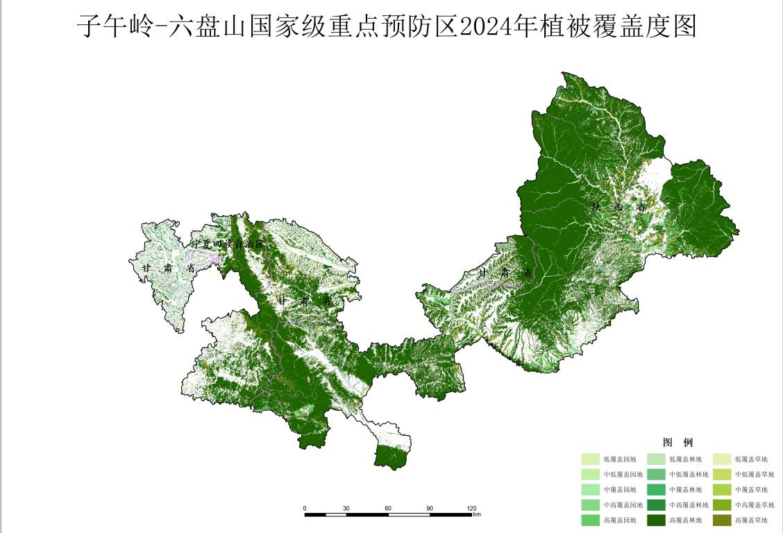 数据缩略图
