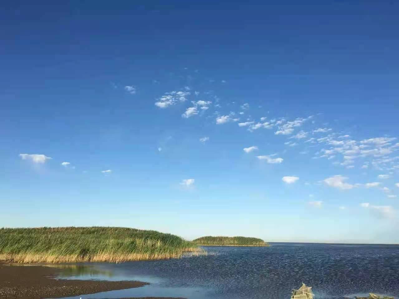 数据缩略图