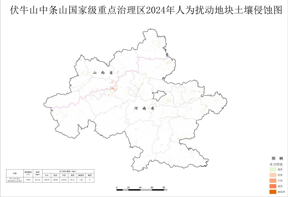数据缩略图
