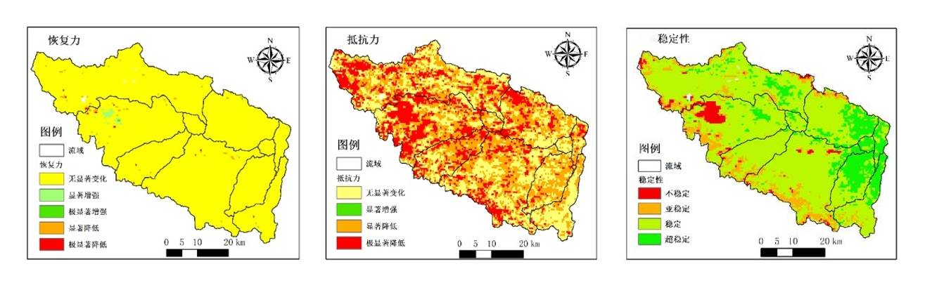 数据缩略图