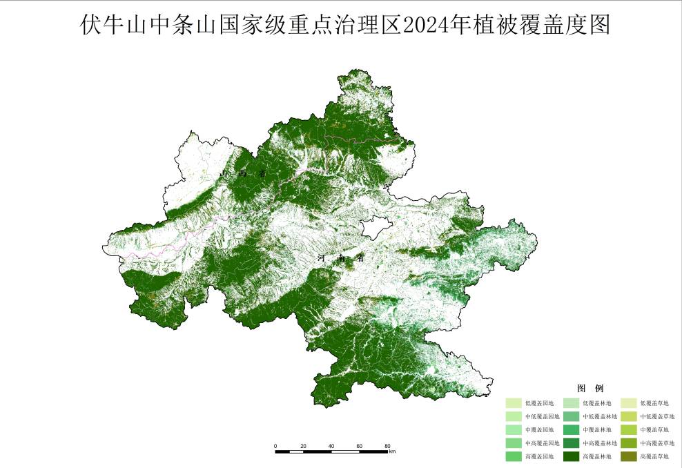 数据缩略图
