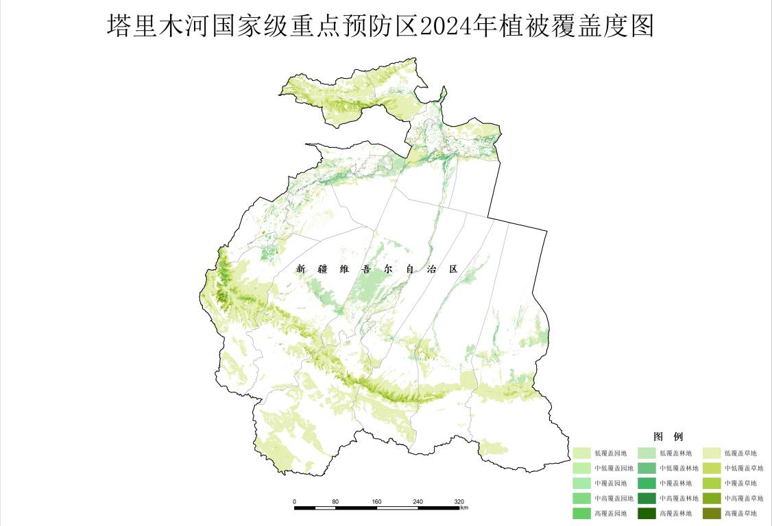 数据缩略图